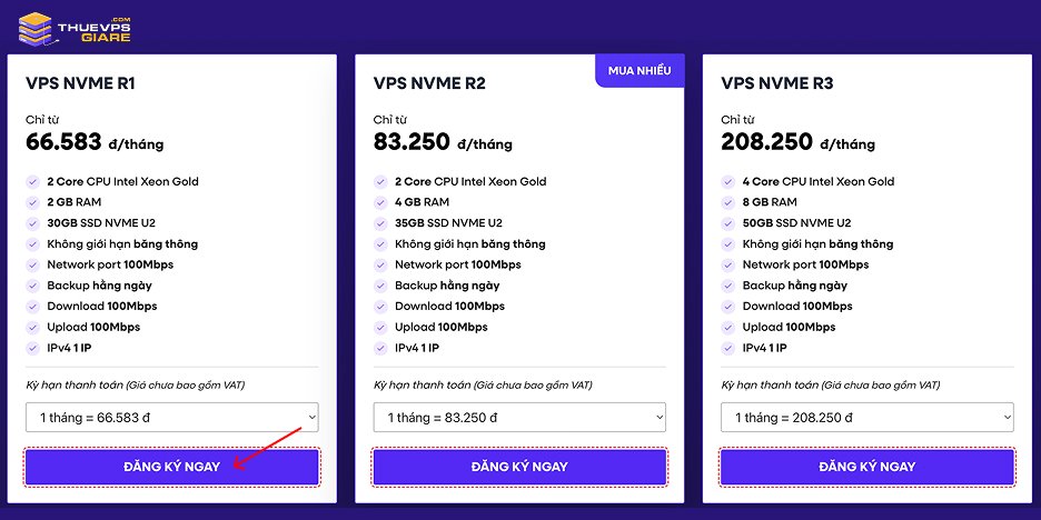 Hướng Dẫn Đăng Ký VPS Từ A-Z Với 5 Bước Đơn Giản Trong 5 Phút 7 Lựa chọn gói VPS Phù hợp với nhu cầu